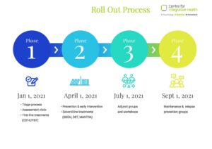 Infographic RollOutProcess V3 pdf